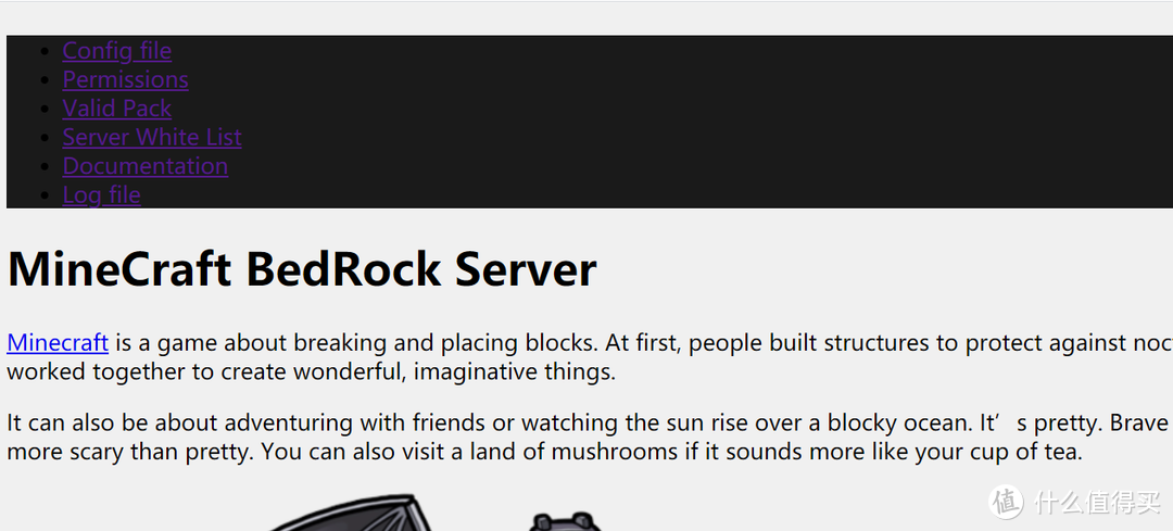 nas安装Bedrock Server 我的世界服务器最简单步骤