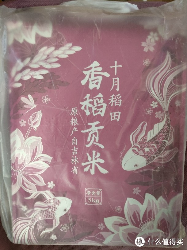 近半年吃过的大米简评