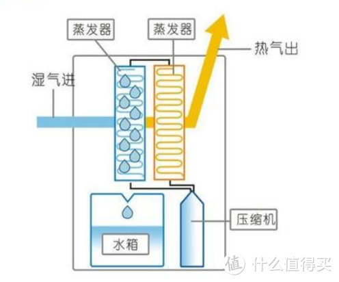 一篇告诉你~我是怎么解决南方梅雨季和冬季潮湿问题的！花小钱解决大麻烦~家中不再长蘑菇！~