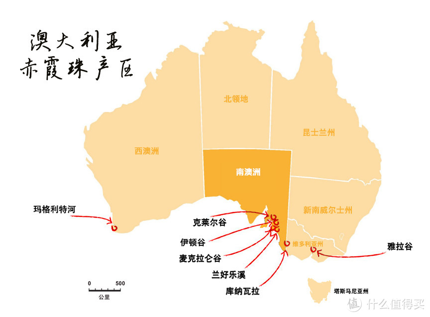 葡萄酒的100节课程 | 08-葡萄酒界的“国王”——赤霞珠