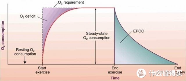 高效燃脂炸弹“Hiit”的正确打开方式，3种人群必练攻略！