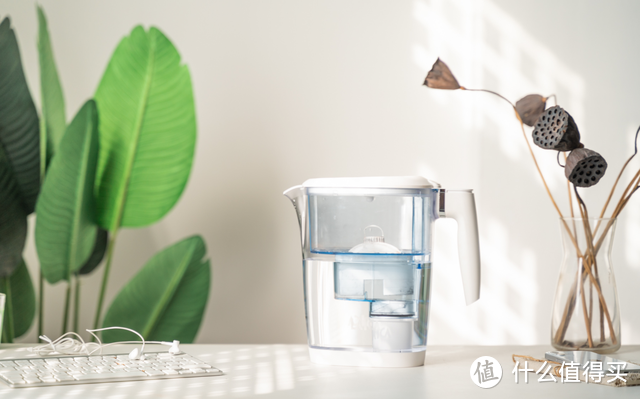 LAICA莱卡滤水壶体验：用“芯”喝上健康水！即滤即饮