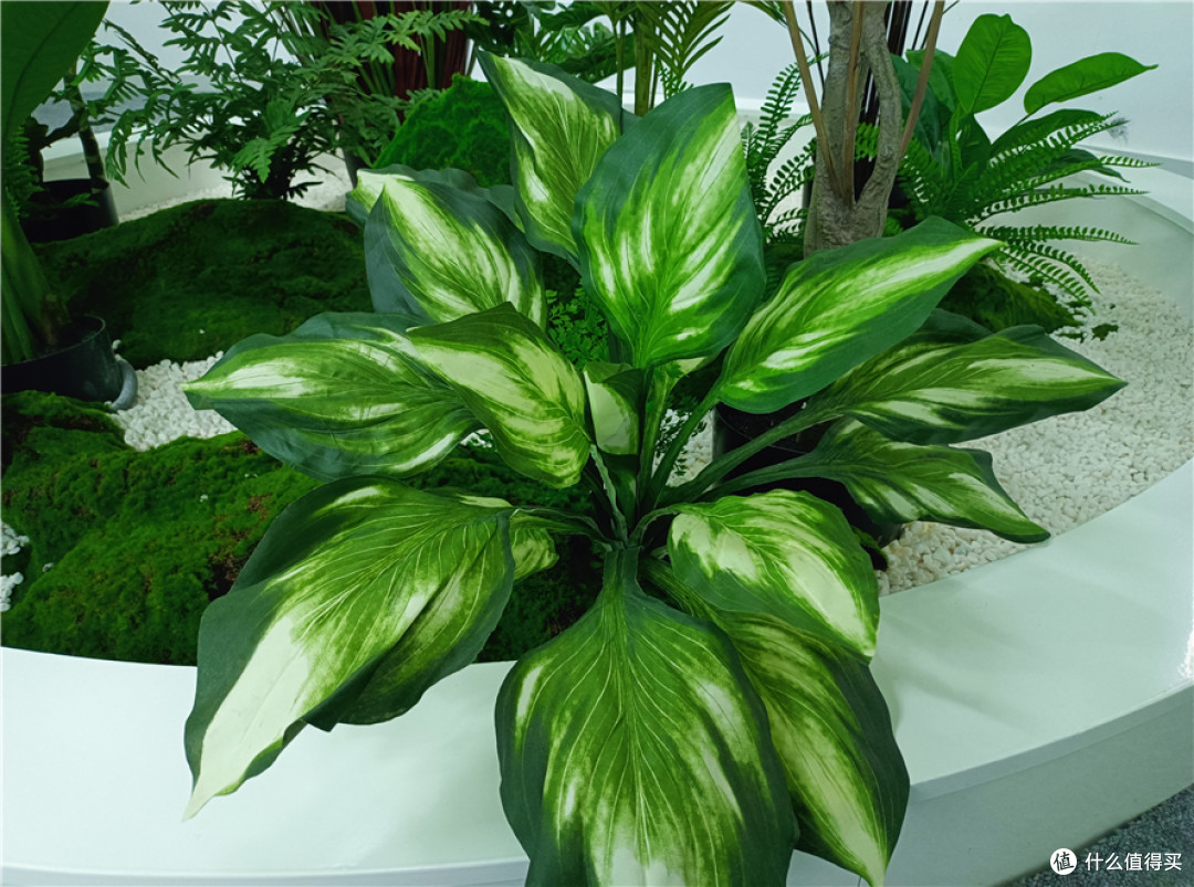 realme真我V15测评：媲美旗舰机，50W闪充超速了！