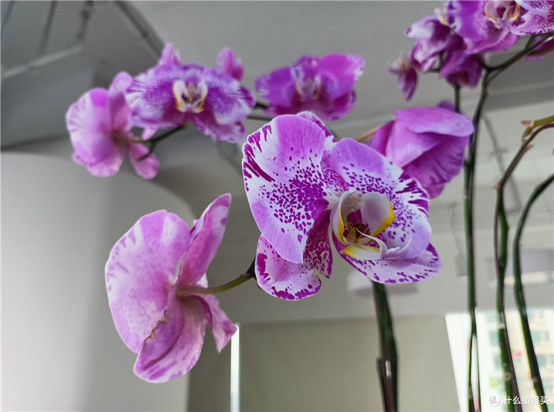 realme真我V15测评：媲美旗舰机，50W闪充超速了！