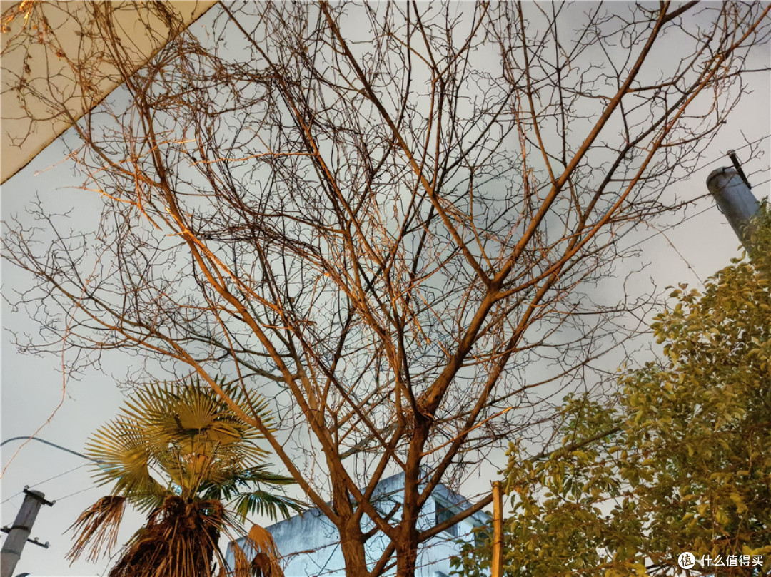 realme真我V15测评：媲美旗舰机，50W闪充超速了！