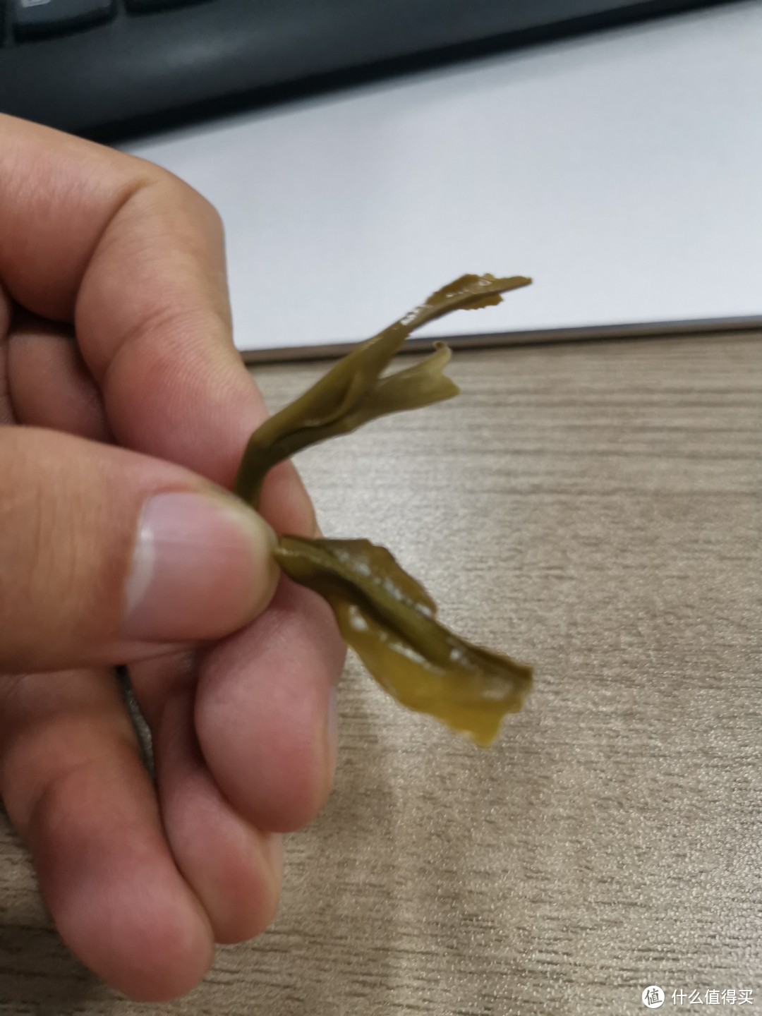 初识普洱茶 试饮“派”的昔归生熟普洱 新鲜之余喜忧参半