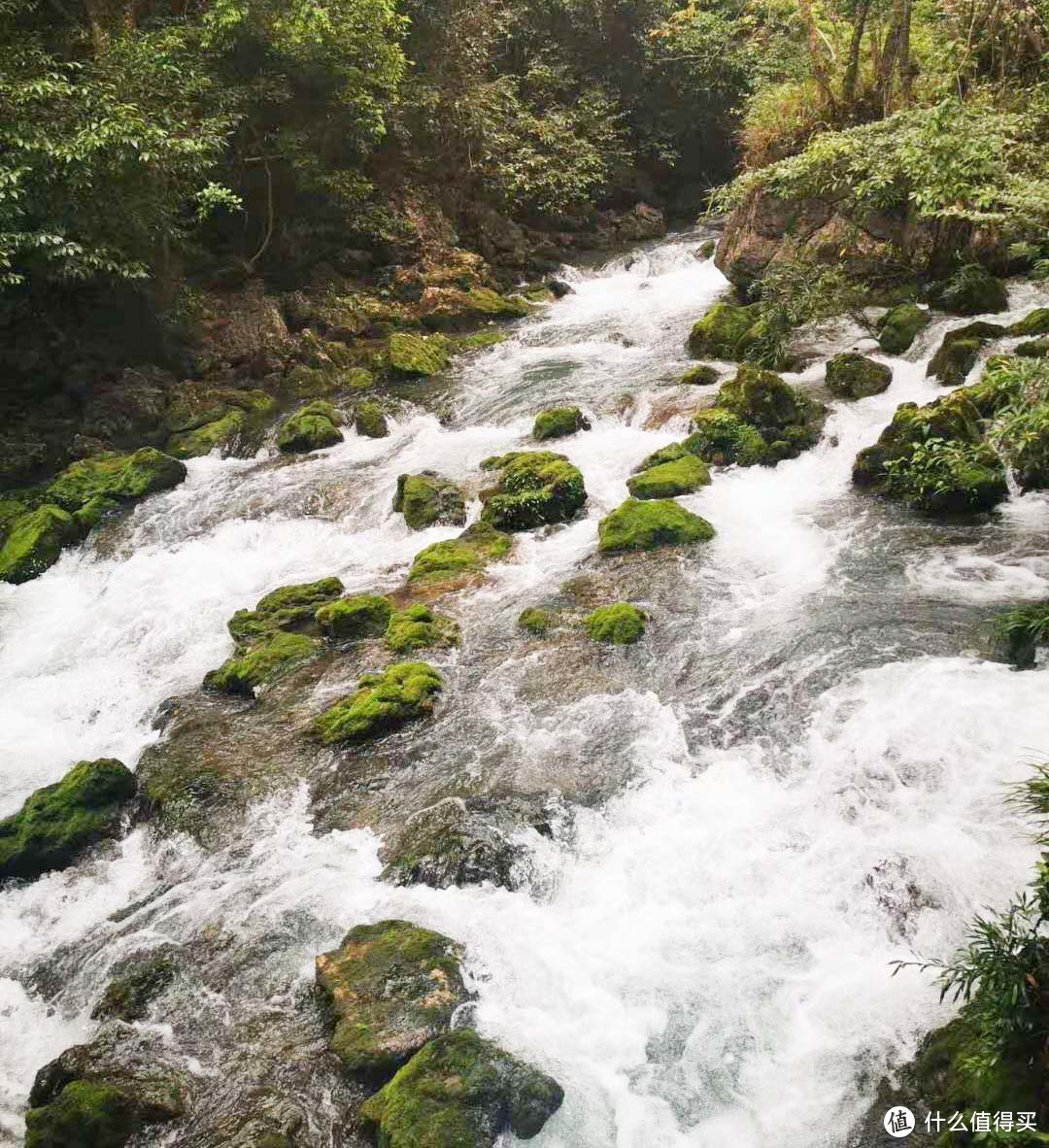 瀑布尽头、山城脚下——贵州、重庆8日游记