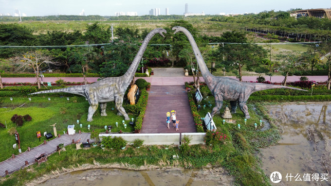 不下海去哪?海昌不夜城→水稻恐龍園→亞特蘭蒂斯水族館