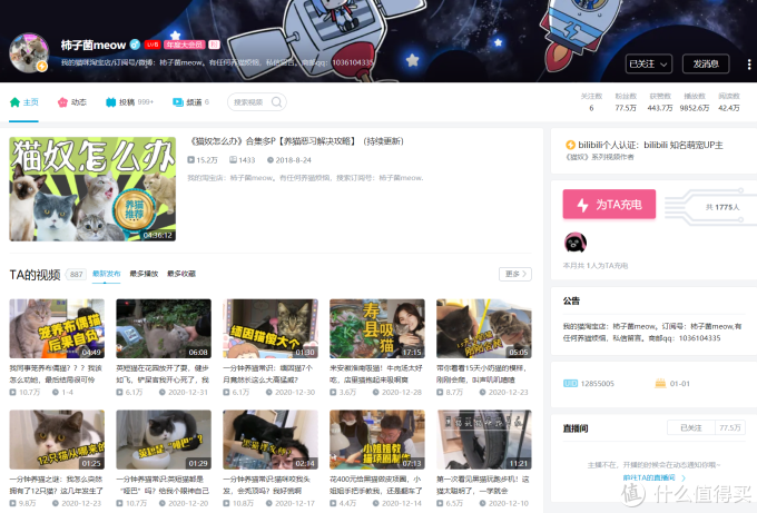 旅行 吸猫 嘴炮…推荐21个B站宝藏级UP主,满足你的好奇心!