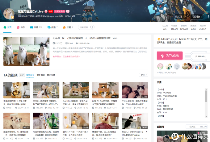 旅行 吸猫 嘴炮…推荐21个B站宝藏级UP主,满足你的好奇心!