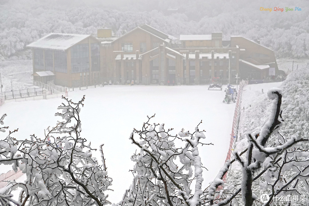 重庆难得的滑雪胜地，冬日里的金佛山，南方人也能看雪了