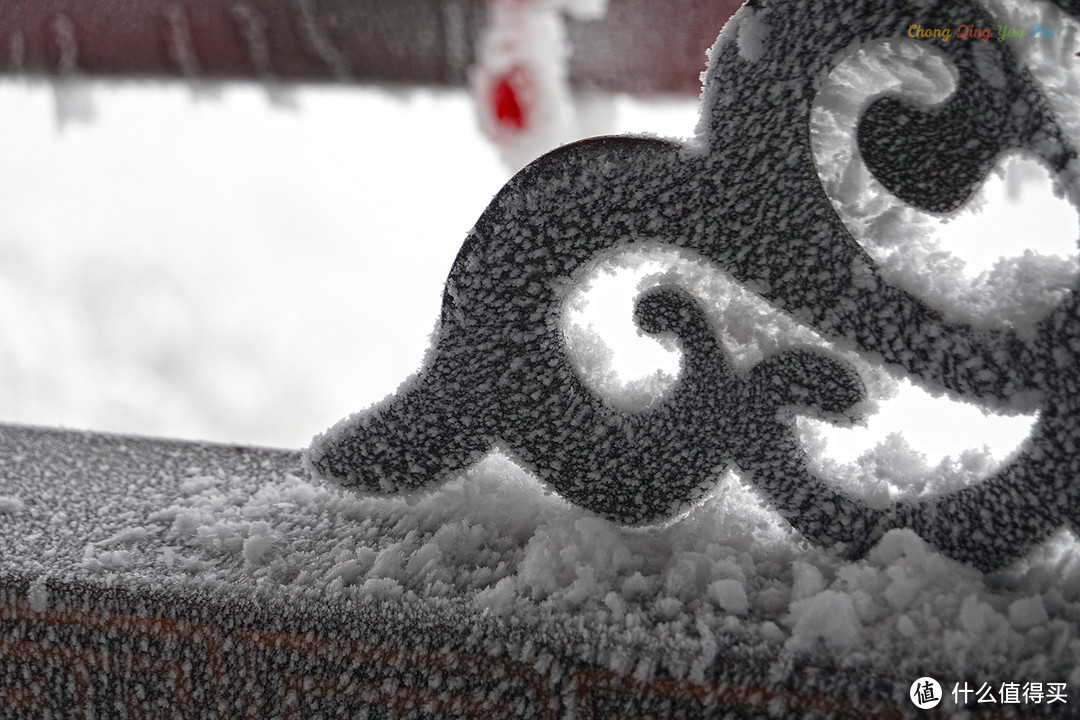 重庆难得的滑雪胜地，冬日里的金佛山，南方人也能看雪了