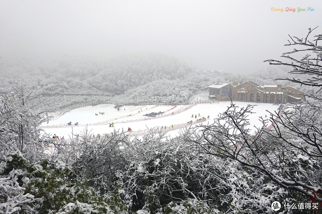 重庆难得的滑雪胜地，冬日里的金佛山，南方人也能看雪了