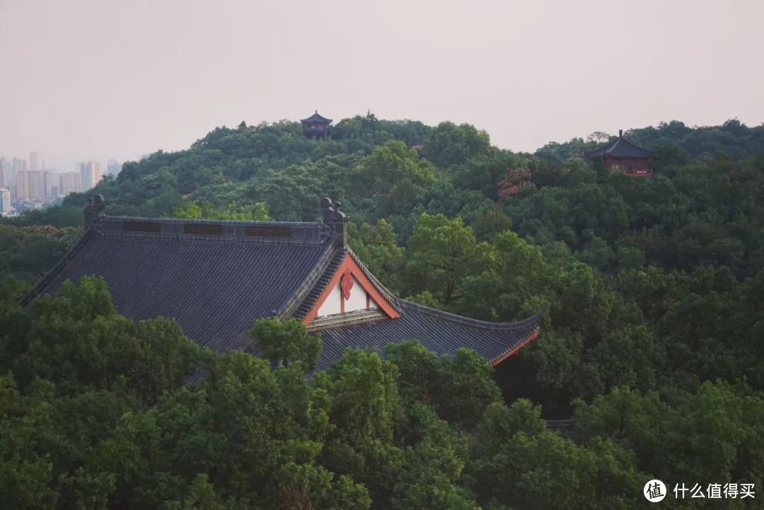 冬天别只吃大鱼大肉了！想轻松吃瘦，这菜必须上榜！