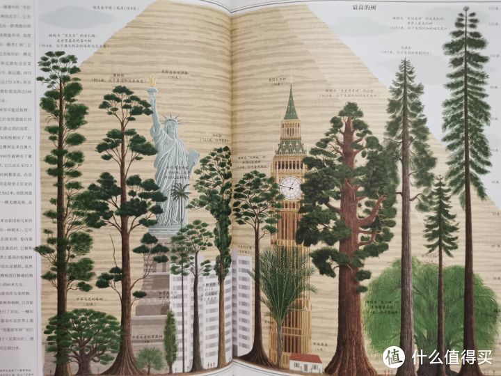 一本自然与人文融合得如此美好的绘本--《树木-关于树木的一切和扎根其中的人类文明史》