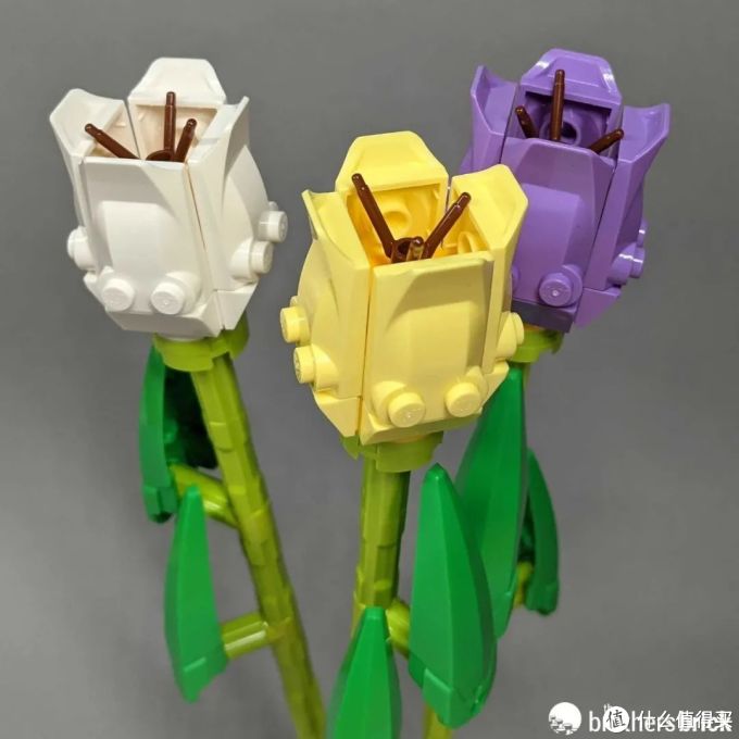 真香乐高40460玫瑰和40461郁金香开箱评测