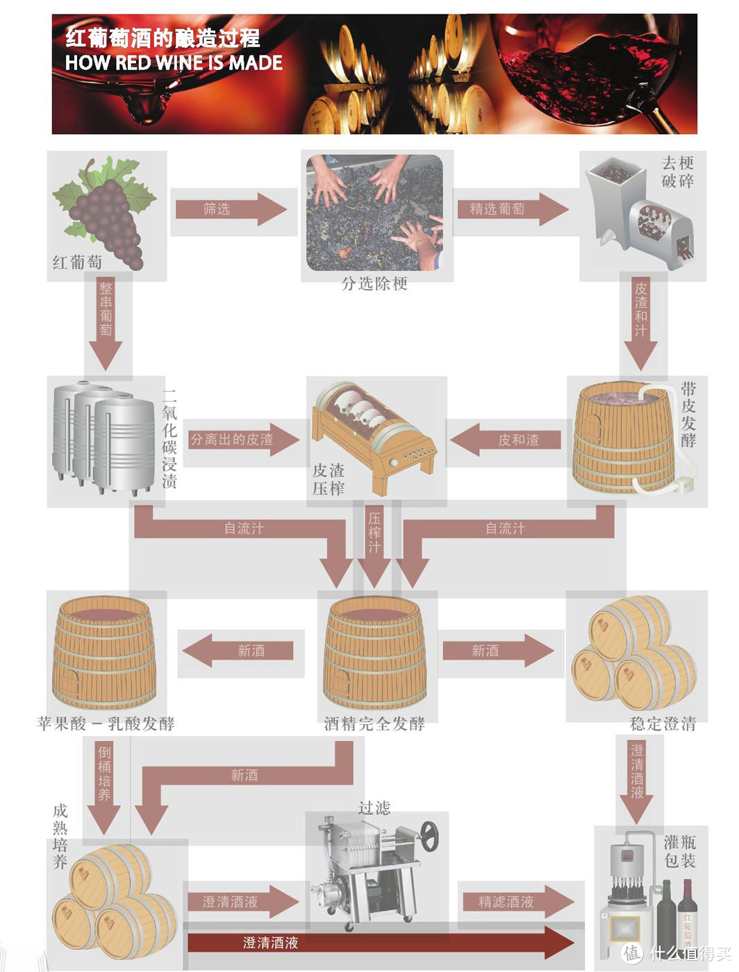 掌握葡萄酒酿造工艺是酿酒师的工作,对于消费者来说不必要