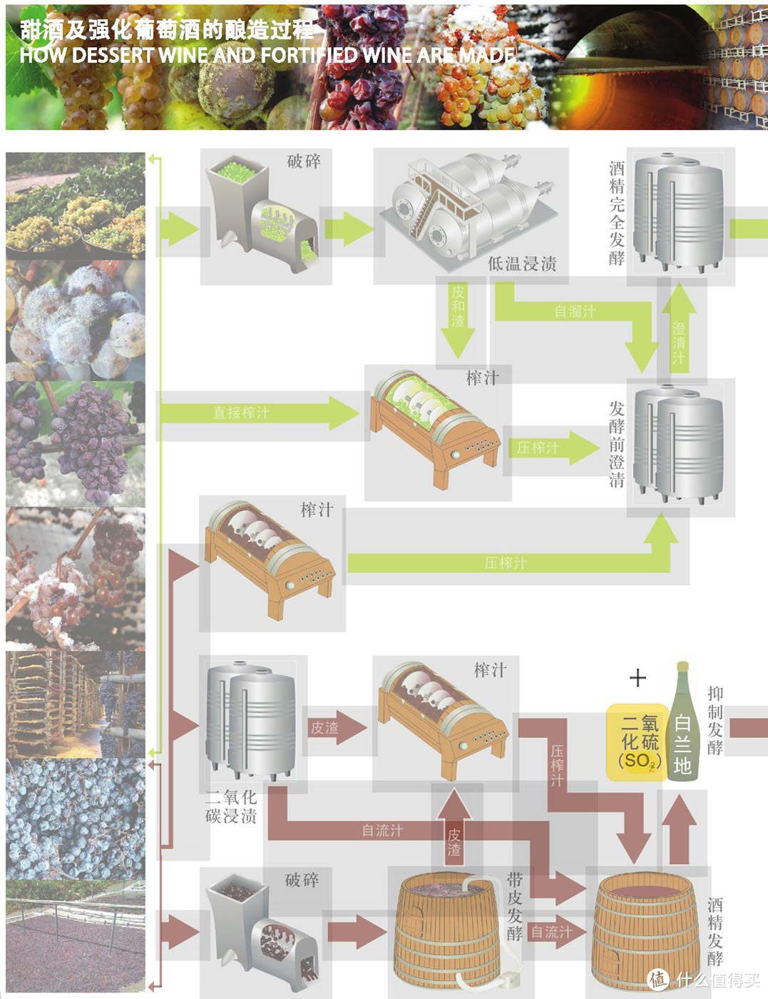 葡萄酒到底是如何酿造出来的
