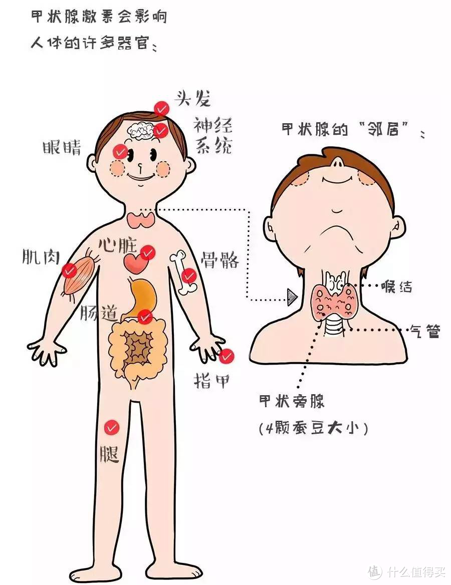 体检结果一头雾水？教你如何解读体检报告+健康简单自测