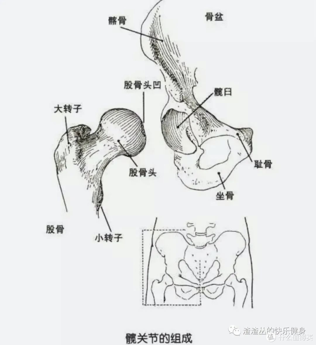 深蹲到底有什么用？最伤身体的3大常见错误+改善训练