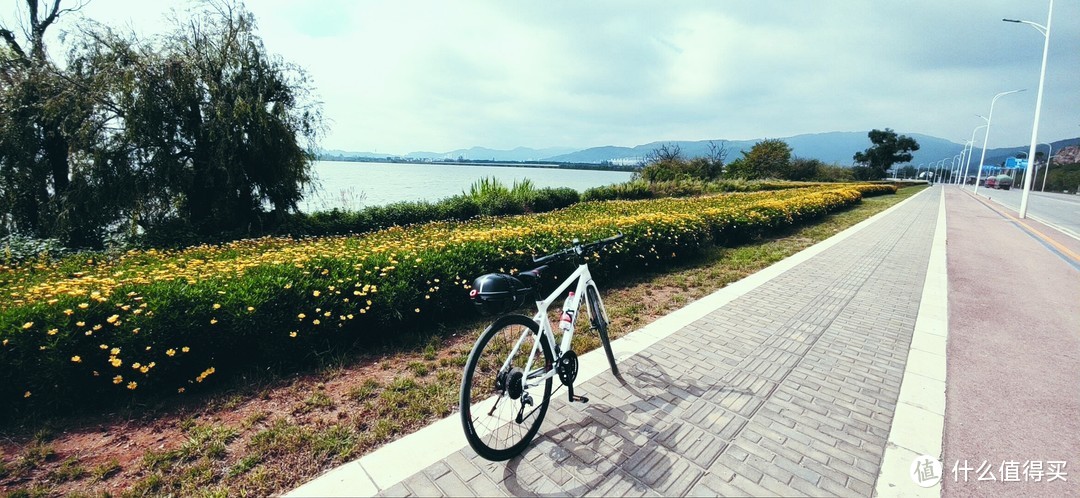 2020年骑行1991Km，入门通勤自行车（捷安特 Fastroad SL 1）及周边装备推荐