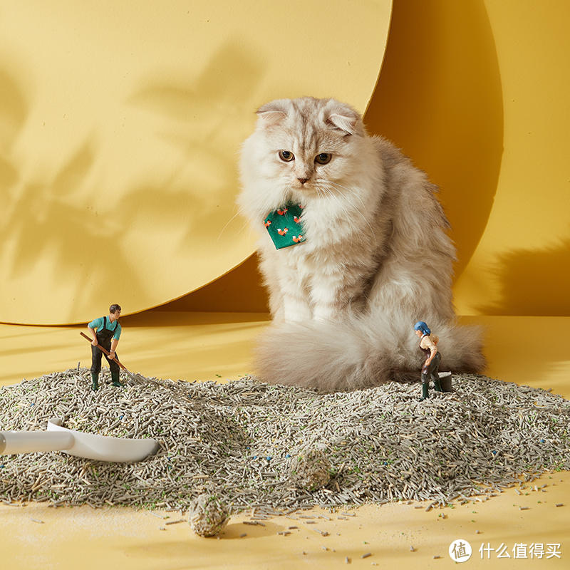 养猫必备，推荐一下巨好用的猫砂盆和猫砂