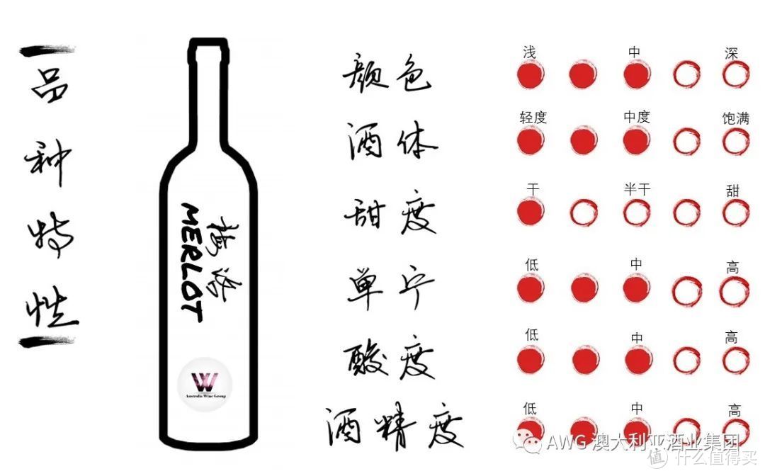 葡萄酒的100节课程 | 09-葡萄酒界的“大众情人”——梅洛