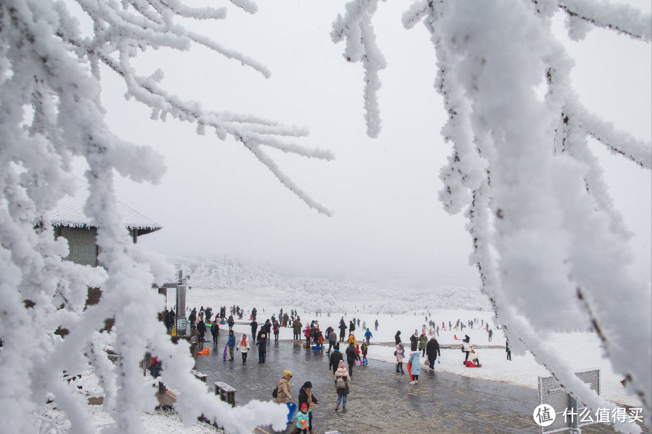 重庆冬季旅游的两极：去仙女山赏雪，去巫山看红叶，都有直飞航线