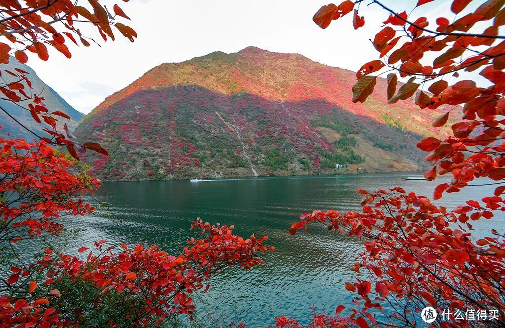 重庆冬季旅游的两极：去仙女山赏雪，去巫山看红叶，都有直飞航线