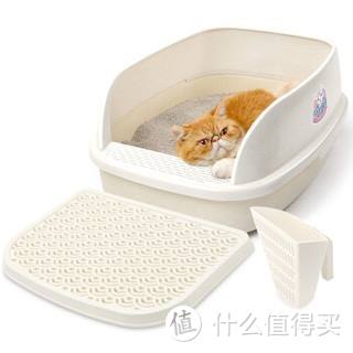 迎接猫猫回家：新手养猫必备物品