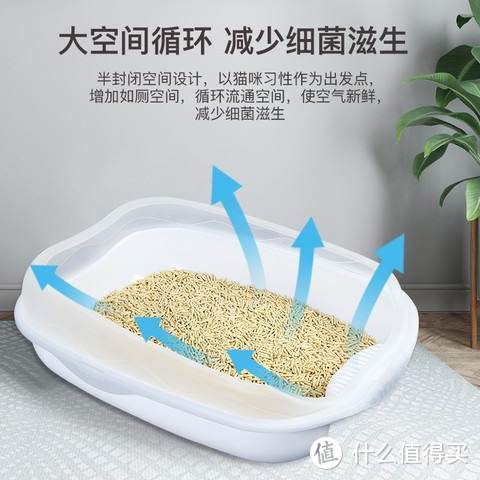 迎接猫猫回家：新手养猫必备物品