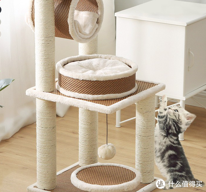 迎接猫猫回家：新手养猫必备物品