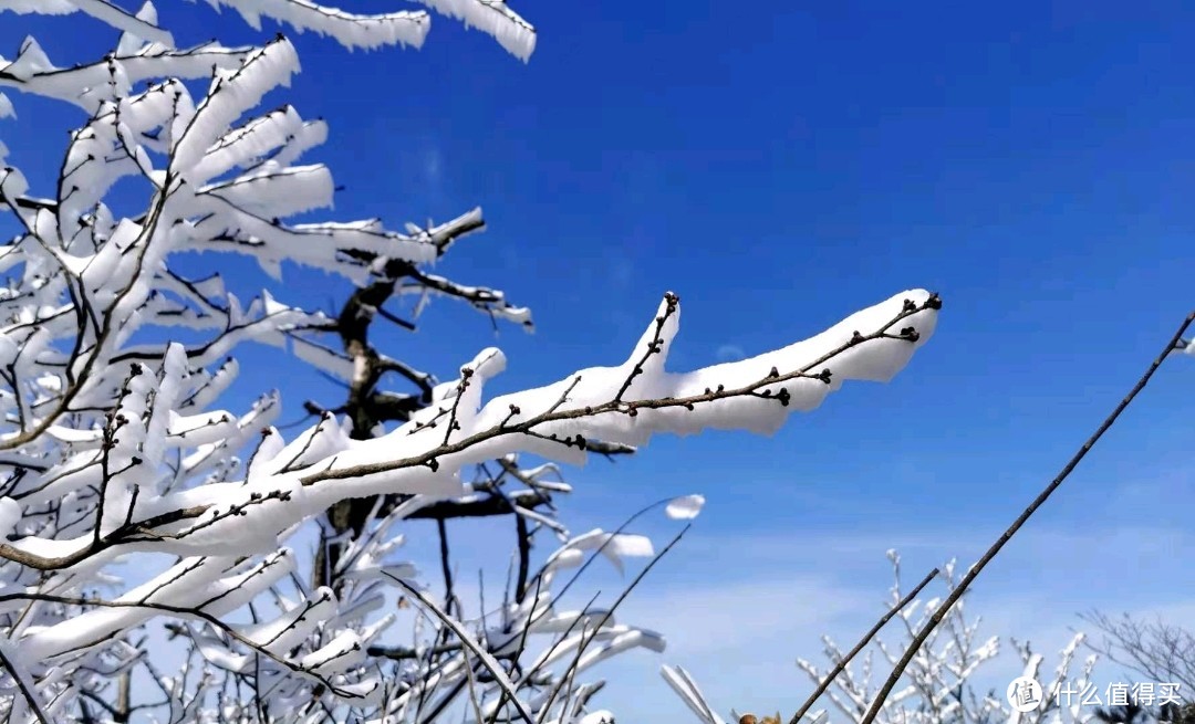 华东的雾凇奇观冰雪世界的一些装备推介