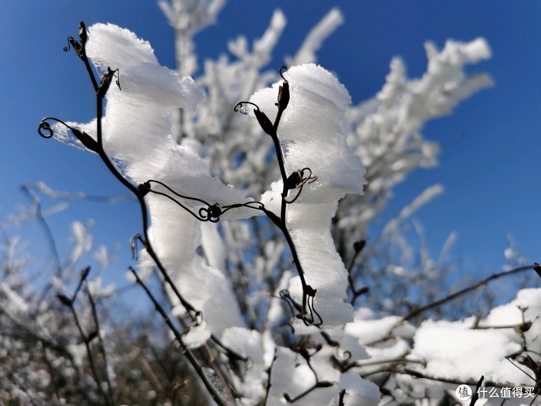 华东的雾凇奇观冰雪世界的一些装备推介