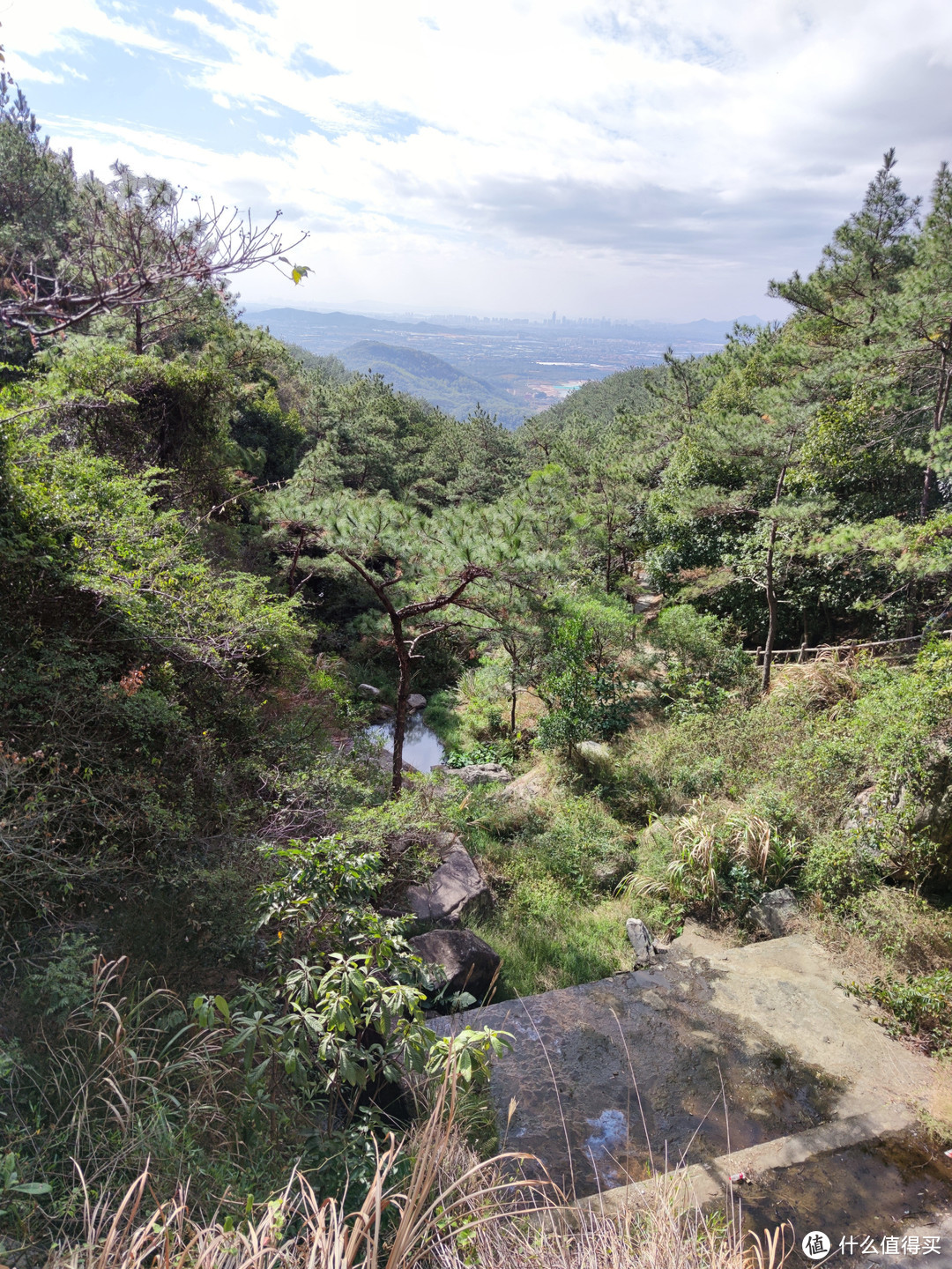 从山顶回望