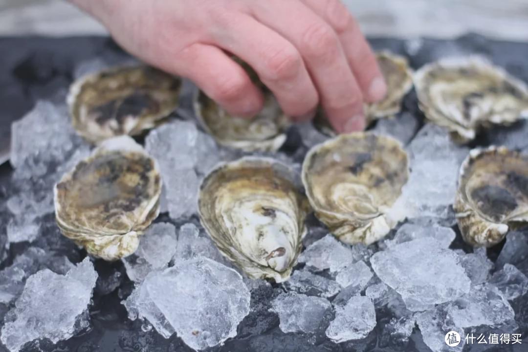 吃生蚝也讲“风土”，一文带你吃遍全世界最好的生蚝