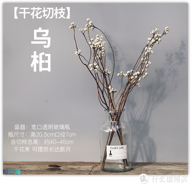 花点小心思，换个新环境，淘宝软装店铺走一波