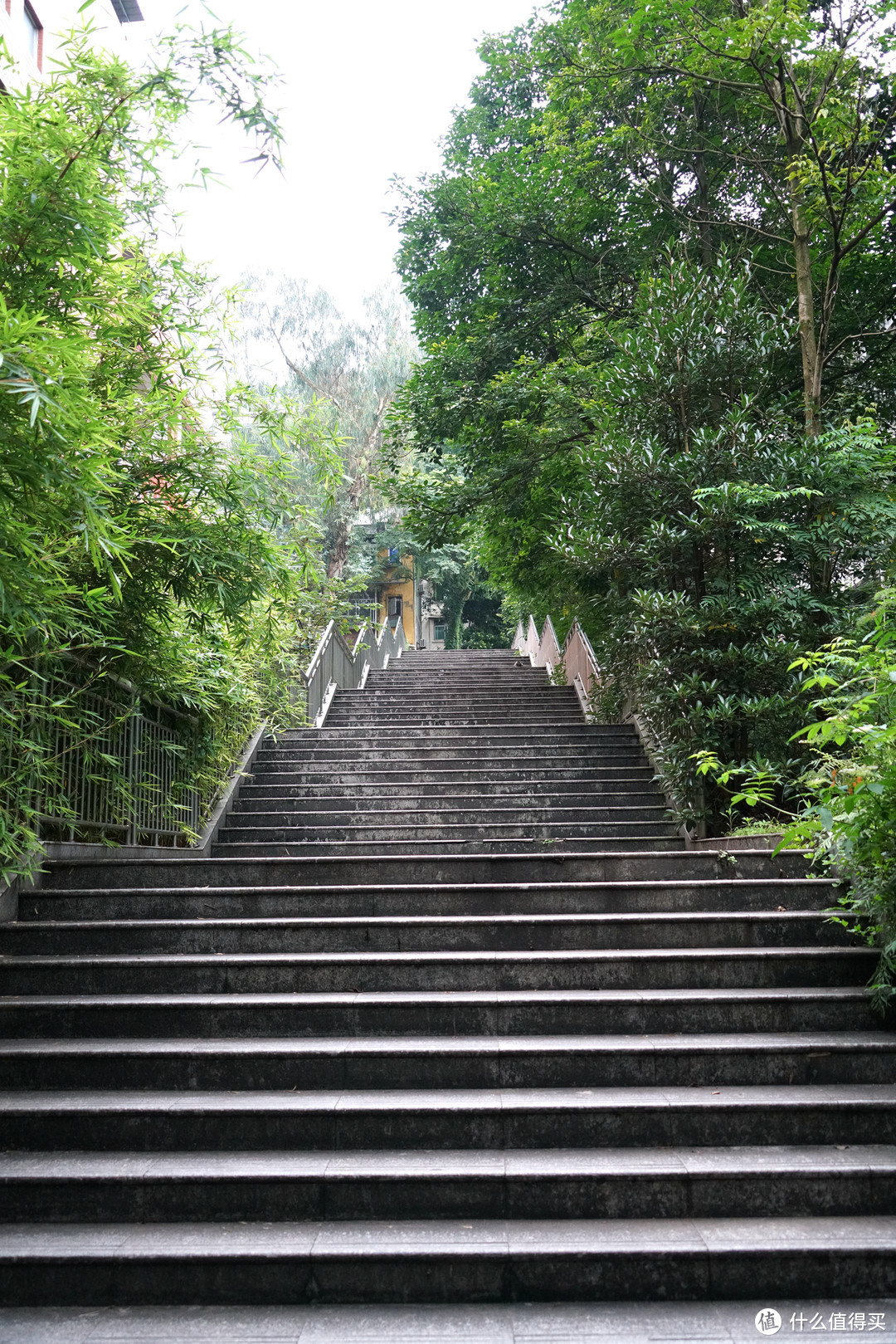 为了传说中的包子，探寻大学深处的食堂