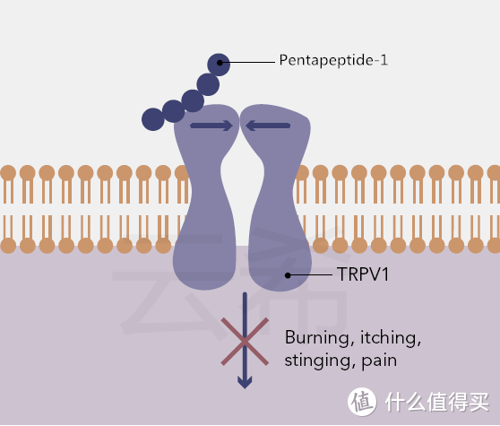 三肽-33DiaminopropionoylTripeptide-33修护紫外皮肤损伤