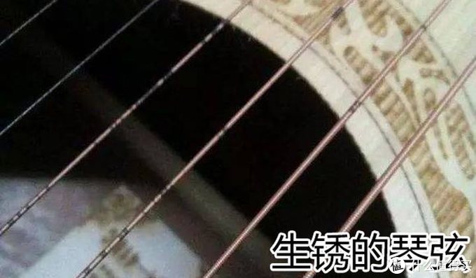 音乐老湿经验之谈：零基础新手怎么选入门吉他？吉它小白必看的全网最全品牌推荐！干货满满千万别错过！