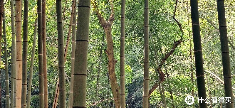 绍兴·上青古道 | 前朝记忆渡红尘 清风竹海隐山村