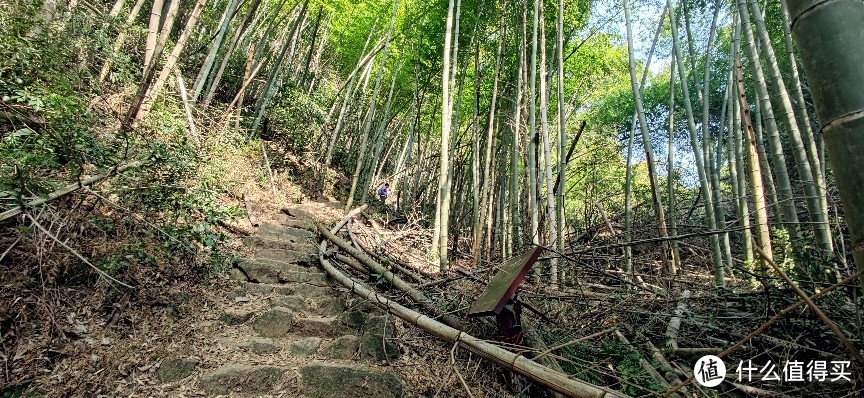 绍兴·上青古道 | 前朝记忆渡红尘 清风竹海隐山村