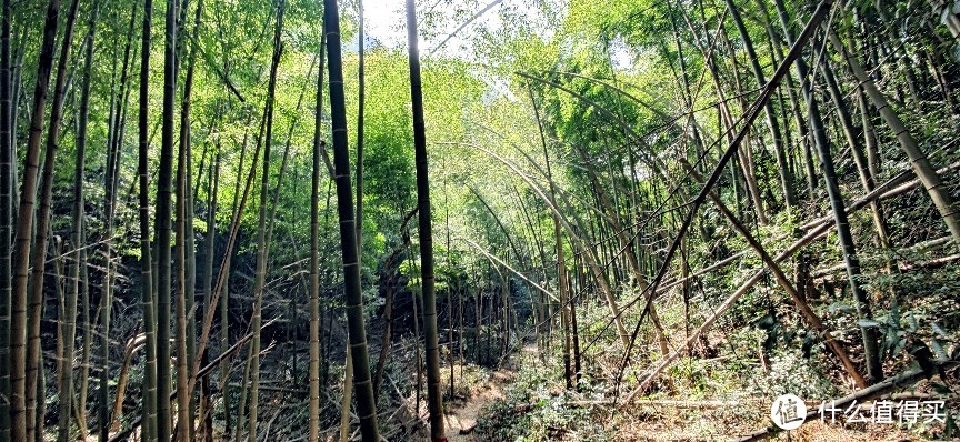 绍兴·上青古道 | 前朝记忆渡红尘 清风竹海隐山村