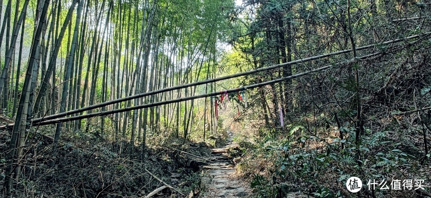 绍兴·上青古道 | 前朝记忆渡红尘 清风竹海隐山村