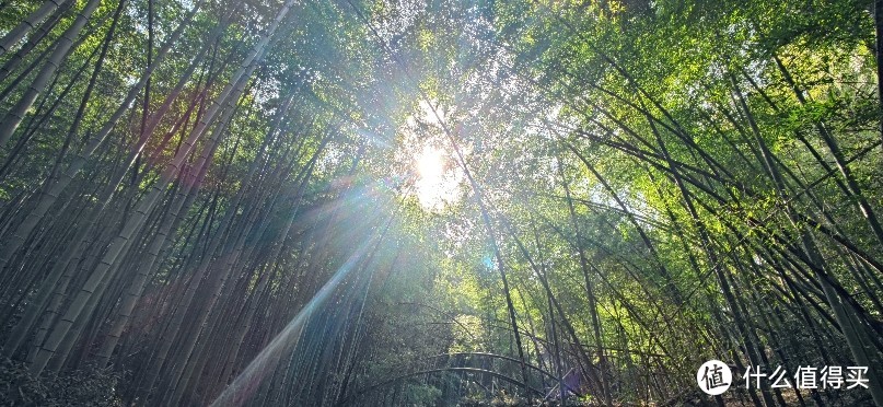 绍兴·上青古道 | 前朝记忆渡红尘 清风竹海隐山村