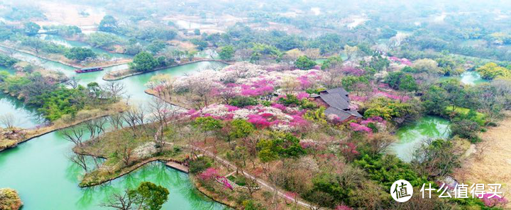 2021年赏花之旅 篇一 踏雪寻梅