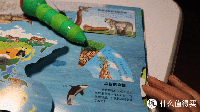 孩子的有声立体动物园：小彼恩毛毛虫中文点读版长隆动物学院科普立体书