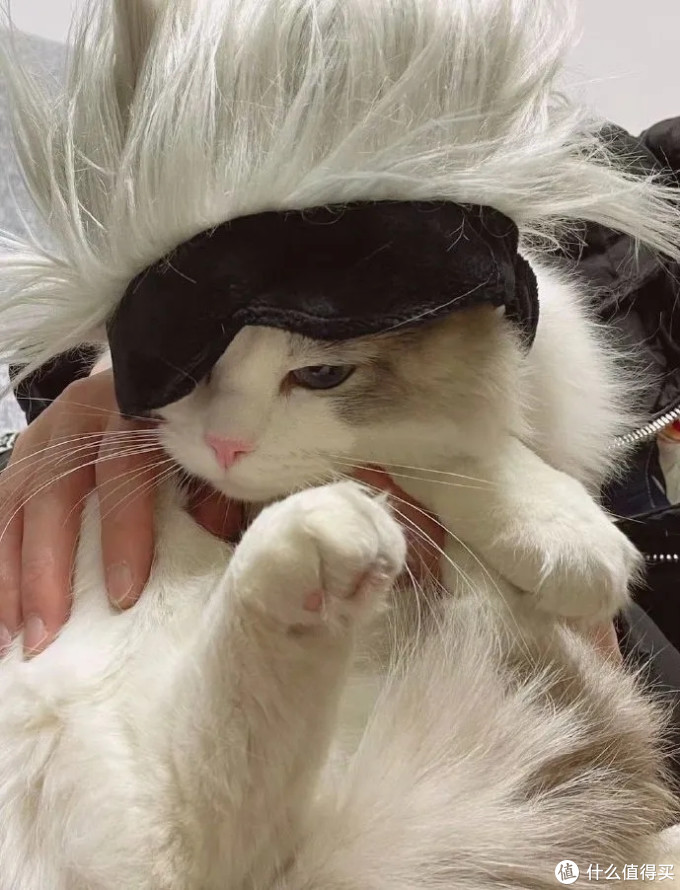 咒术回战追番后遗症据说看啥都像五条悟