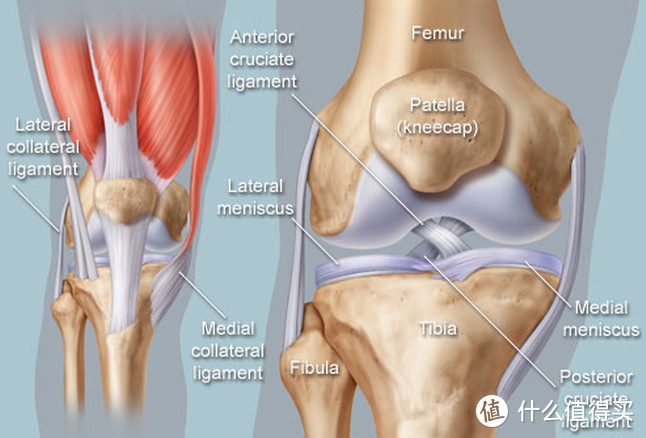 健身与膝盖痛：哪些方法有用，哪些方法没用，一次给你全部说清