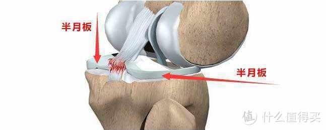 健身与膝盖痛：哪些方法有用，哪些方法没用，一次给你全部说清